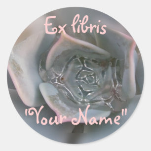 Sticker Rond Coloré Succulent Vous Souhaitant Bonheur Articles