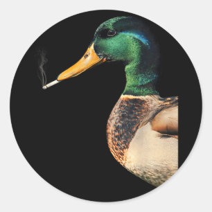 Sticker Rond Colvert fumant une cigarette mème canard colvert d