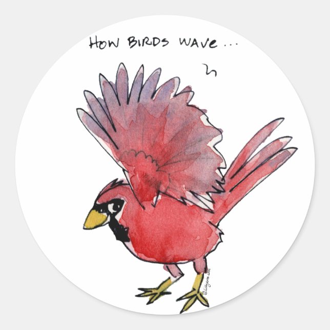 Sticker Rond Comment les oiseaux ondent Cardinal (Devant)
