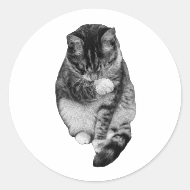 Sticker Rond Compagnon Hush-Tail (Devant)