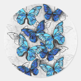 Sticker Rond Composition de papillons blancs et bleus