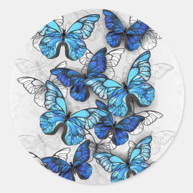 Sticker Rond Composition de papillons blancs et bleus (Devant)