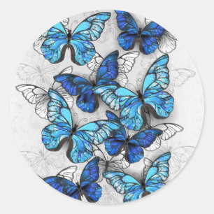 Sticker Rond Composition des White and Blue Butterflies
