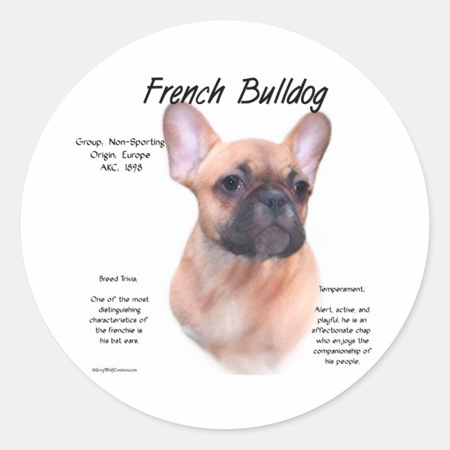 Sticker Rond Conception de l'histoire des Bulldog français (Devant)