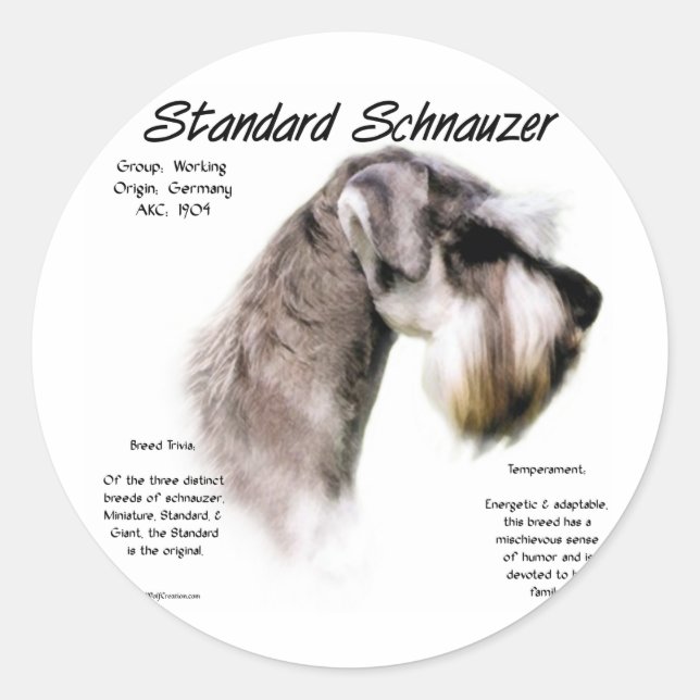 Sticker Rond Conception de l'historique Schnauzer Standard (Devant)