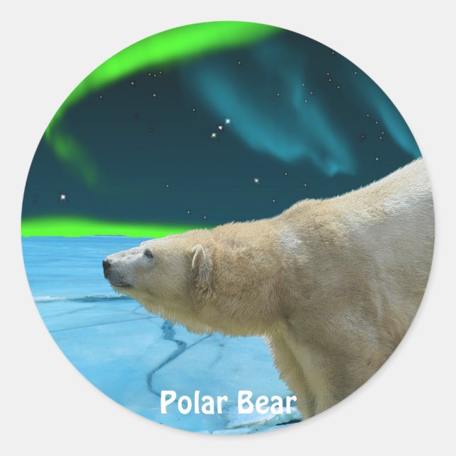 Sticker Rond Conception de l'ours pour les animaux et les anima (Devant)