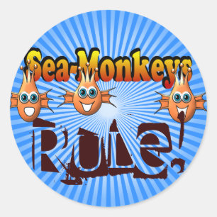 Sticker Rond Conception de Monkees de singes de mer