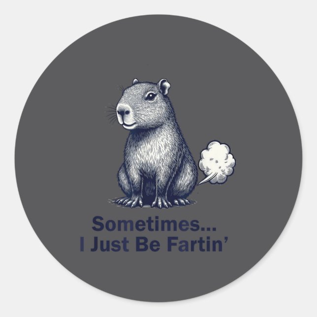 Sticker Rond Conception drôle de capybara parfois je fais juste (Devant)