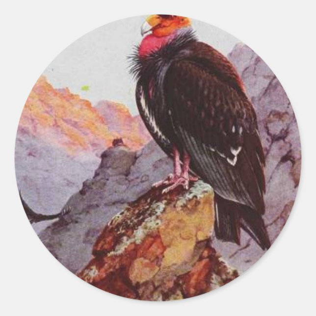 Sticker Rond "Condor de Californie" (Devant)