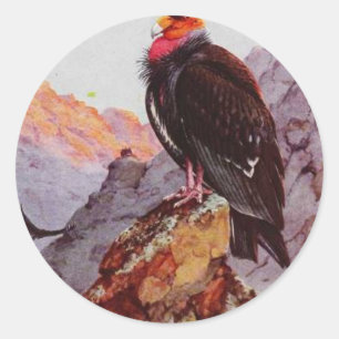 Sticker Rond "Condor de Californie"
