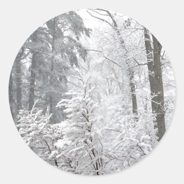 Sticker Rond Confections dans la neige — (Devant)