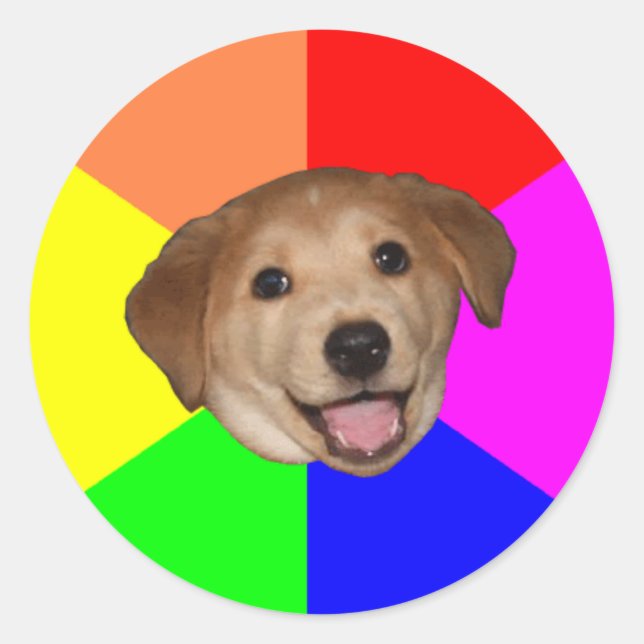 Sticker Rond Conseil Chien (Devant)