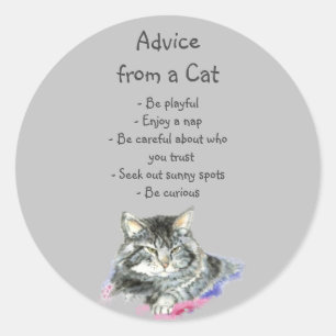 Sticker Rond Conseil d'un Humour animal amusant de chats