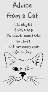 Autocollants Stickers Humour Chat Zazzle Fr