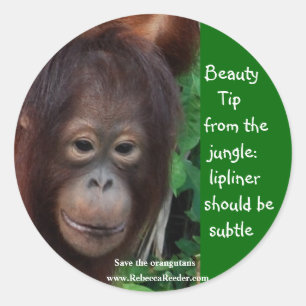 Sticker Rond Conseils beauté Jungle