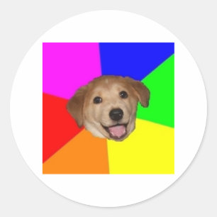 Sticker Rond Conseils Chien Conseils Animal Meme