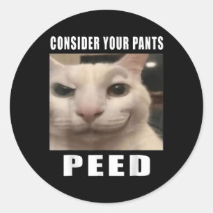Sticker Rond Considérez Votre Pantalon Peed Silly Chat Mème Hom