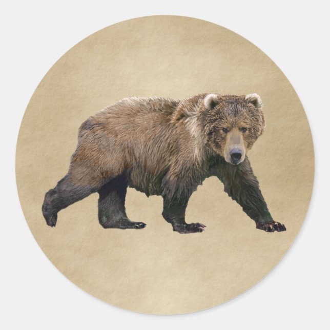 Sticker Rond Cook bear (Devant)
