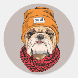 Sticker Rond Cool Bulldog