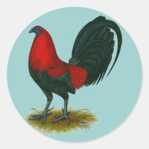 Sticker Rond Coq américain : Brun Rouge