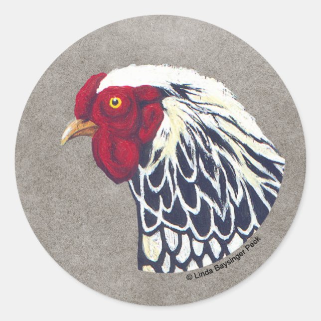 Sticker Rond Coq argenté Laced Wyandotte (Devant)