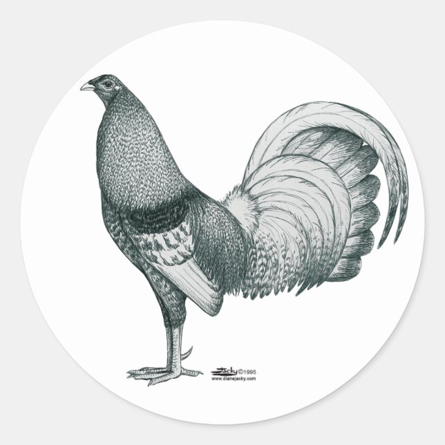 Sticker Rond coq de combat Crele ou Dom (Devant)