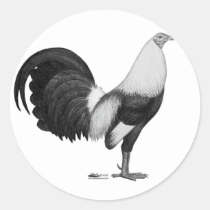Sticker Rond Coq de combat Gris à ailes de canard