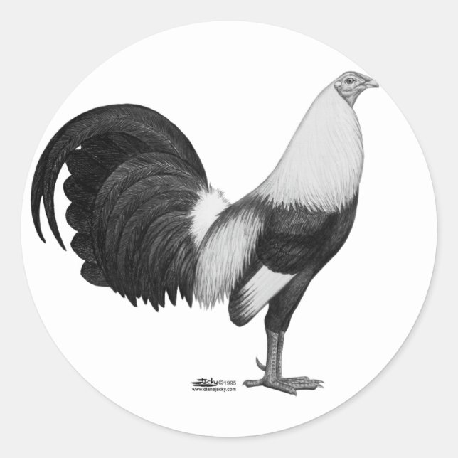 Sticker Rond Coq de combat Gris à ailes de canard (Devant)