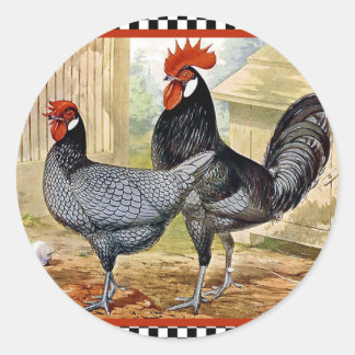 Sticker Rond Coq de poulet vintage