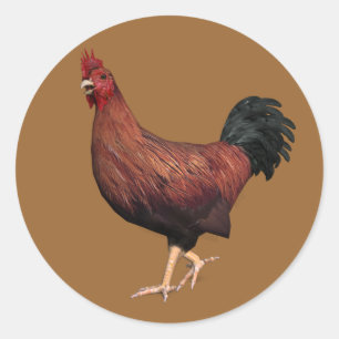 Sticker Rond Coq rouge