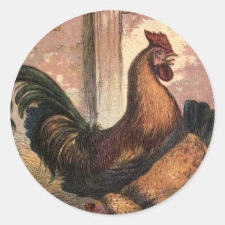 Sticker Rond Coq rouge, haricots Brown et poussins pour bébés e