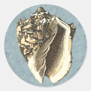 Sticker Rond Coque conique en pierre