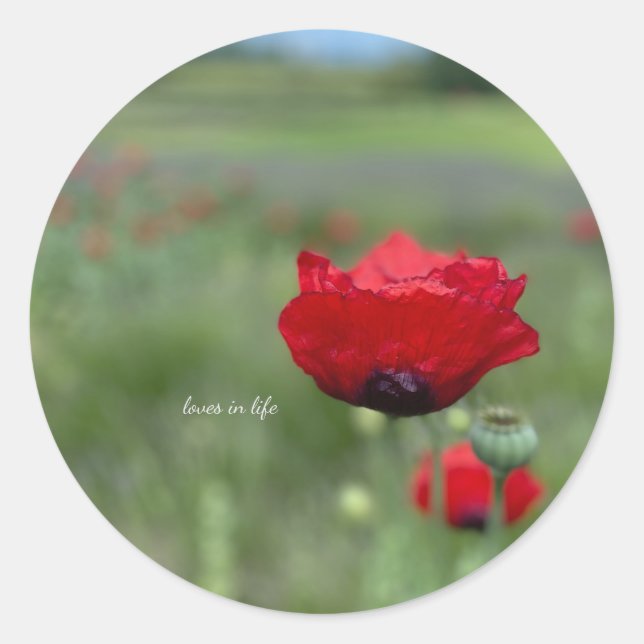 Sticker Rond Coquelicot Rouge Onirique (Devant)