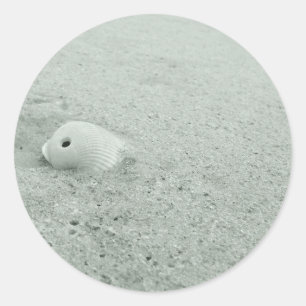 Sticker Rond Coquillage blanc sur plage de sable blanc