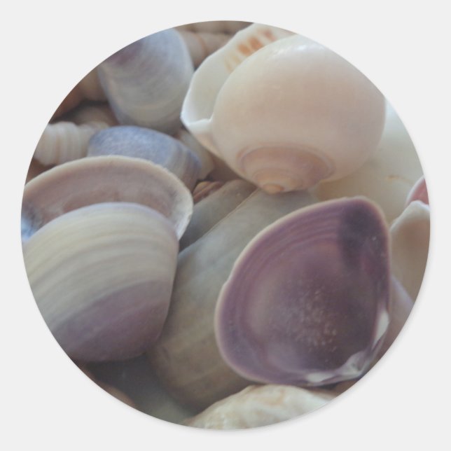 Sticker Rond Coquillages d'été ensoleillés, Sea Shell Beach Océ (Devant)