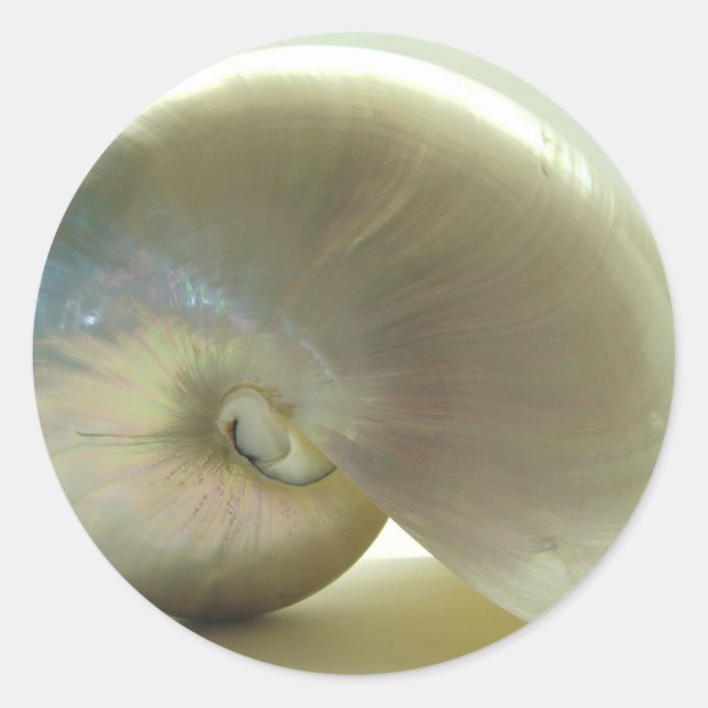 Sticker Rond Coquille n° 1 (Devant)