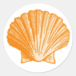 Sticker Rond Coquille tropicale de la mer d'Orange Protea