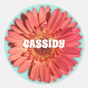 Sticker Rond Corail couleur Gerbera Daisy Photo Mint Vert