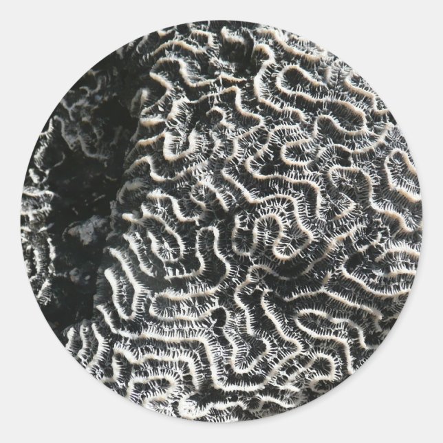 Sticker Rond Corail noir et blanc I Abstrait Nature Photo (Devant)