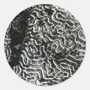 Sticker Rond Corail noir et blanc I Photo de nature abstraite