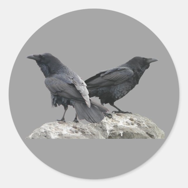 Sticker Rond Corbeau (Devant)