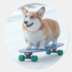 Sticker Rond Corgi fun skateboard