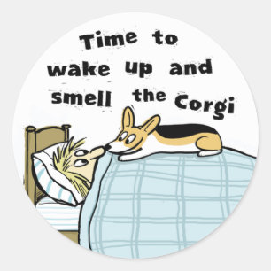 Sticker Rond Corgi - Réveillez-vous et sentez le Corgi