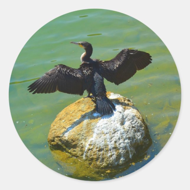Sticker Rond Cormorant (Devant)