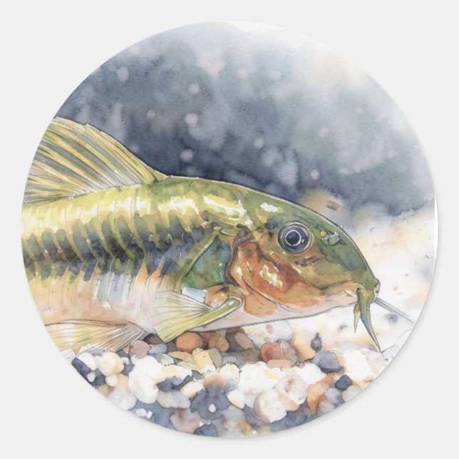 Sticker Rond Corydoras poisson chat laser vert (Devant)