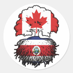 Sticker Rond Costa Rica Costa Rica Canada Canada Racines d'arbr