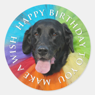 Sticker Rond Costumé Black Lab Joyeux anniversaire