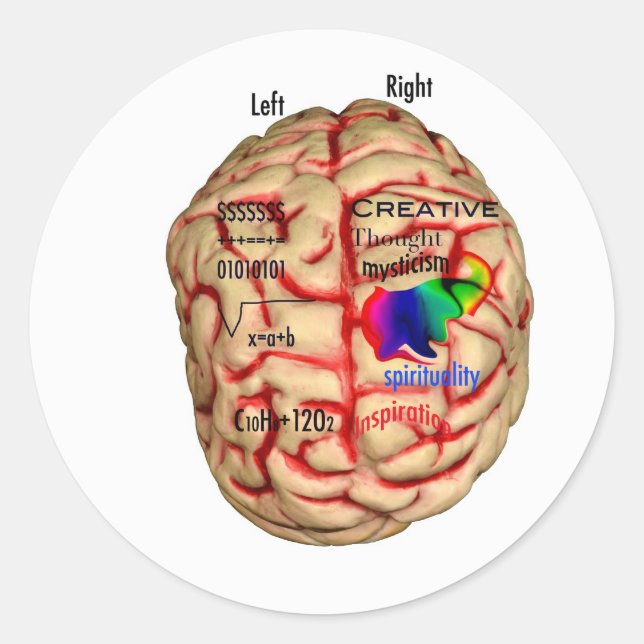 Sticker Rond Côté gauche et côté droite du cerveau (Devant)