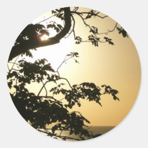Sticker Rond Coucher du soleil à travers les arbres II Photogra
