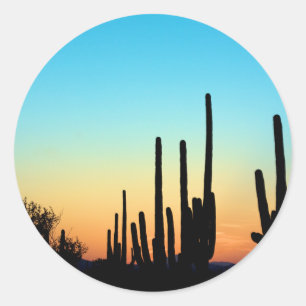 Sticker Rond Coucher du soleil de Saguaro